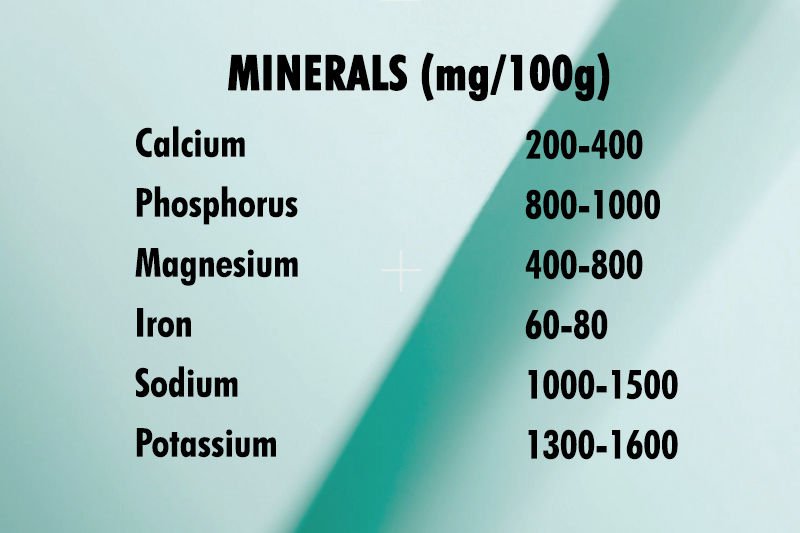 NUTRITIONAL ANALYSIS - MINERALS